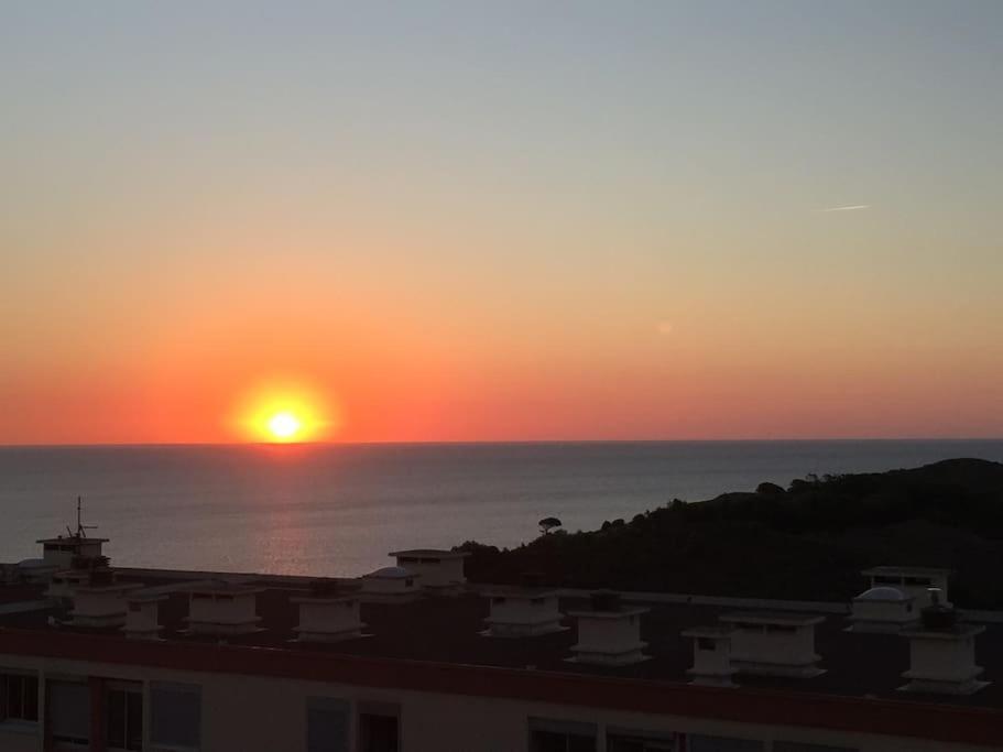 Appartement 4 Personnes, Vue Mer Exceptionnelle Banyuls-sur-Mer Eksteriør bilde